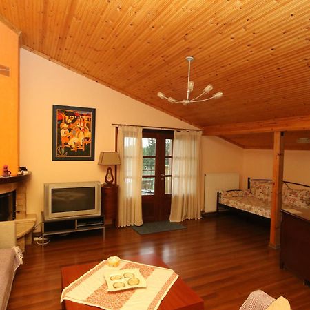 Pantso Villa Nea Iraklitsa Εξωτερικό φωτογραφία